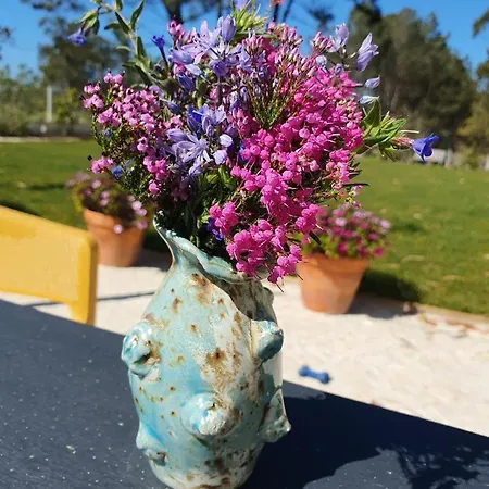 Lägenhet Quinta Da Familia Caldas Da Rainha