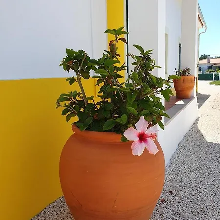 Lägenhet Quinta Da Familia *