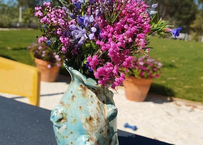 公寓 Quinta Da Familia 卡尔达斯达·赖尼亚