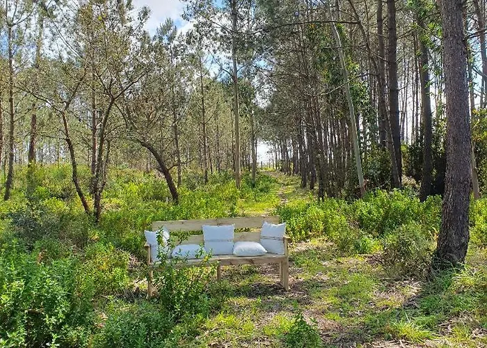 Quinta Da Familia * 卡尔达斯达·赖尼亚